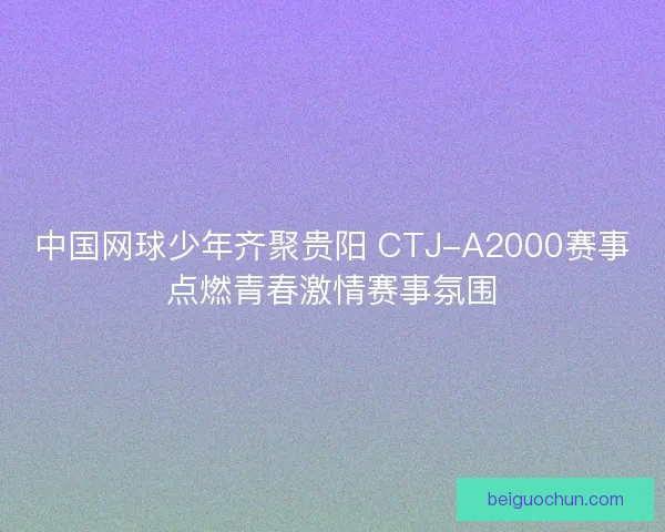 中国网球少年齐聚贵阳 CTJ-A2000赛事点燃青春激情赛事氛围