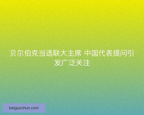 贝尔伯克当选联大主席 中国代表提问引发广泛关注