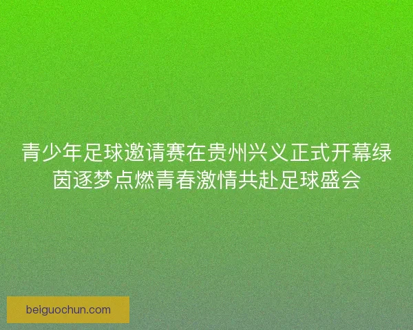 青少年足球邀请赛在贵州兴义正式开幕绿茵逐梦点燃青春激情共赴足球盛会